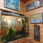 Spędź ferie z leśnikami w Jeziorach Wysokich [ZDJĘCIA] Radio Zachód - Lubuskie