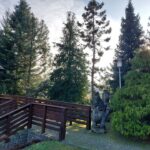 Spędź ferie z leśnikami w Jeziorach Wysokich [ZDJĘCIA] Radio Zachód - Lubuskie