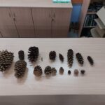 Spędź ferie z leśnikami w Jeziorach Wysokich [ZDJĘCIA] Radio Zachód - Lubuskie