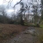 Wichura nad regionem. Ponad 800 interwencji straży pożarnej 11 Wichura nad regionem. Ponad 800 interwencji straży pożarnej Radio Zachód - Lubuskie