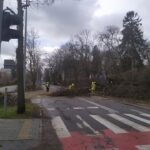 Wichura nad regionem. Ponad 800 interwencji straży pożarnej 13 Wichura nad regionem. Ponad 800 interwencji straży pożarnej Radio Zachód - Lubuskie