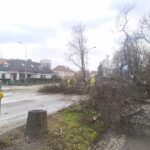 Wichura nad regionem. Ponad 800 interwencji straży pożarnej 14 Wichura nad regionem. Ponad 800 interwencji straży pożarnej Radio Zachód - Lubuskie