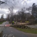 Wichura nad regionem. Ponad 800 interwencji straży pożarnej 15 Wichura nad regionem. Ponad 800 interwencji straży pożarnej Radio Zachód - Lubuskie