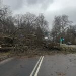 Wichura nad regionem. Ponad 800 interwencji straży pożarnej 16 Wichura nad regionem. Ponad 800 interwencji straży pożarnej Radio Zachód - Lubuskie