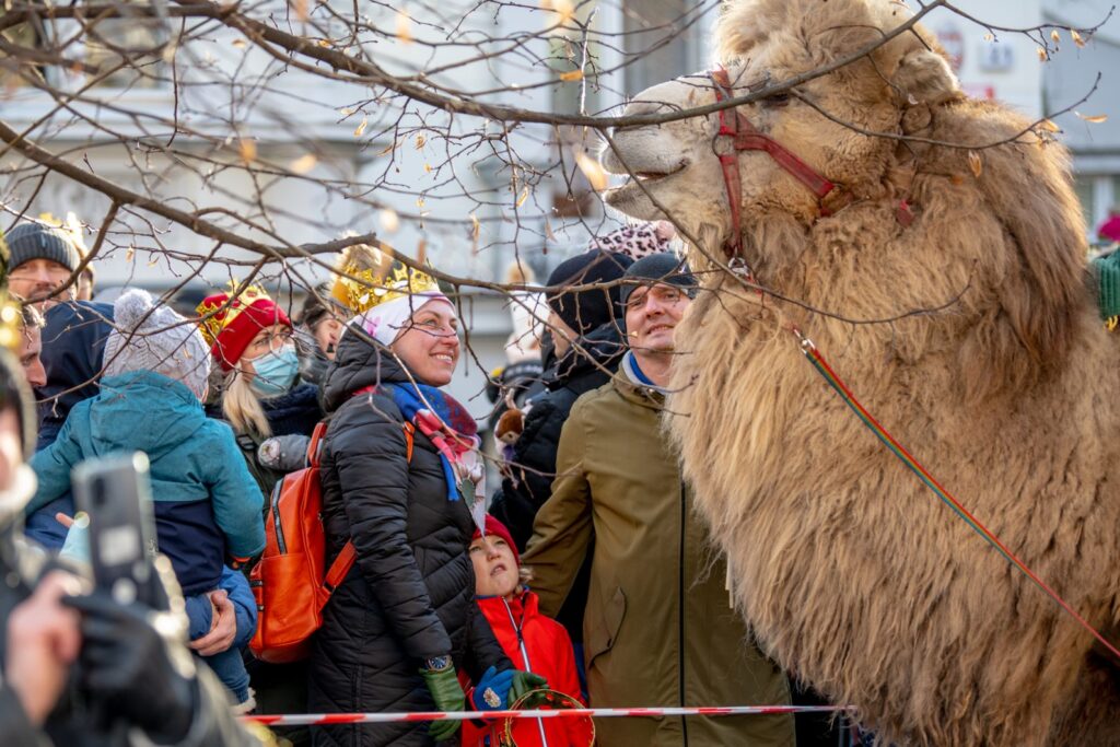 Lubuski Orszak Trzech Króli [DUŻO ZDJĘĆ] Radio Zachód - Lubuskie