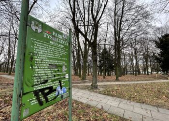 fot. Bartosz Schaefer