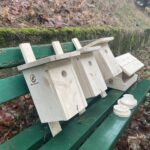 Choinki zamieniają się w dobro Radio Zachód - Lubuskie