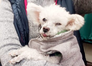 Teodor i jego spojrzenie Fot. A.Janik