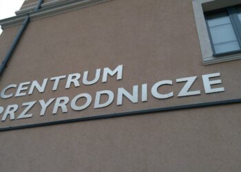 fot. Marta Czechowska