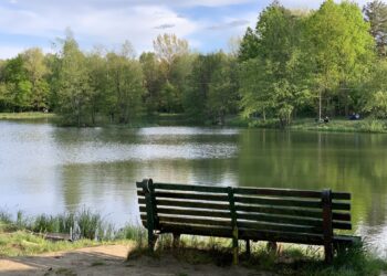 Dzika Ochla, fot. Janusz Życzkowski