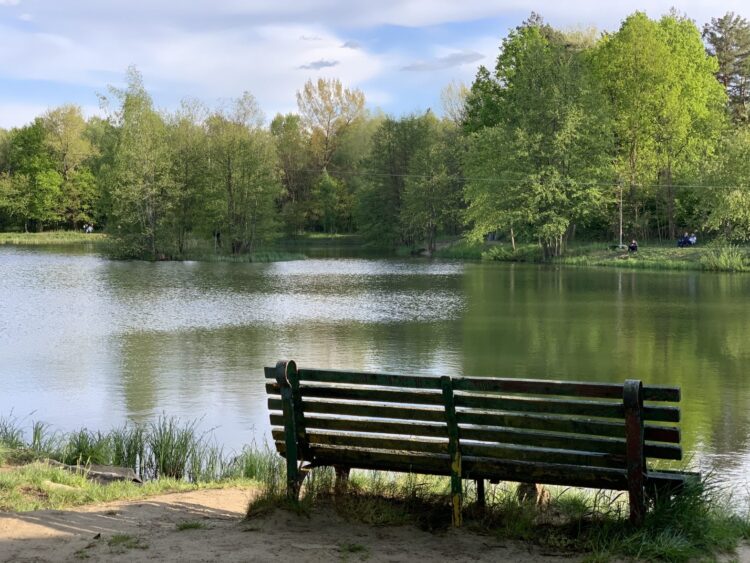 Dzika Ochla, fot. Janusz Życzkowski