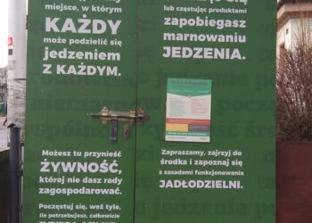 fot: Przemysław Kozubaj