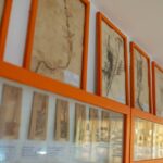 Zielonogórski "Medyk" od środka [WIDEO, DUŻO ZDJĘĆ] Radio Zachód - Lubuskie