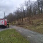 Wichura dewastuje region [FILM, ZDJĘCIA] Radio Zachód - Lubuskie