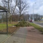 Wichura dewastuje region [FILM, ZDJĘCIA] Radio Zachód - Lubuskie