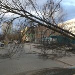 Wichura dewastuje region [FILM, ZDJĘCIA] Radio Zachód - Lubuskie