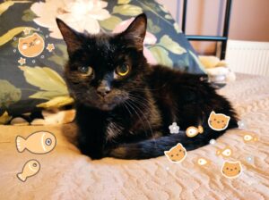 Wyją wilki, kiedy Piotr idzie nocą do czatowni Radio Zachód - Lubuskie