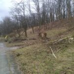 Wichura dewastuje region [FILM, ZDJĘCIA] Radio Zachód - Lubuskie