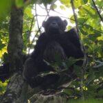 „Opowieści babci Leonardy” – posłuchaj reportażu Cezarego Galka Radio Zachód - Lubuskie