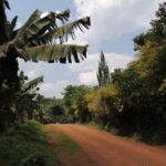 „Opowieści babci Leonardy” – posłuchaj reportażu Cezarego Galka Radio Zachód - Lubuskie