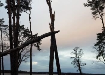 Fot. Marek Turowski.