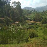 „Opowieści babci Leonardy” – posłuchaj reportażu Cezarego Galka Radio Zachód - Lubuskie