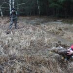 Wyleczony bielik na wolności radzi sobie dobrze Radio Zachód - Lubuskie