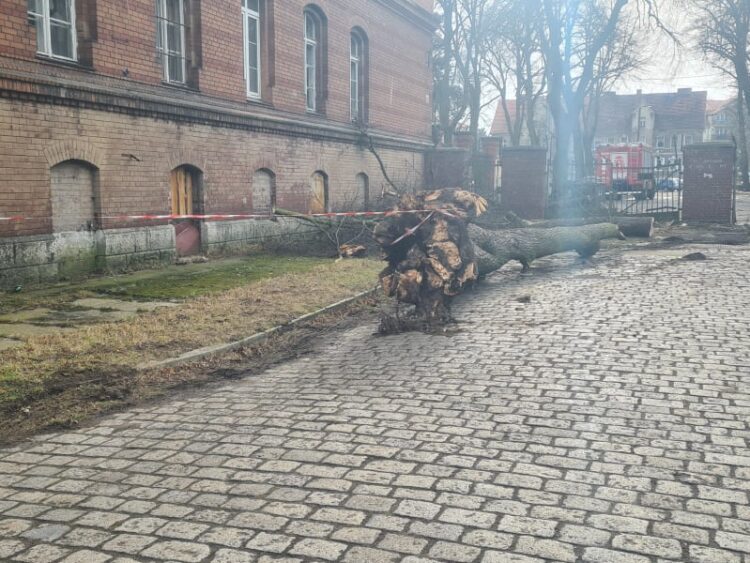 fot. PSP Żagań
