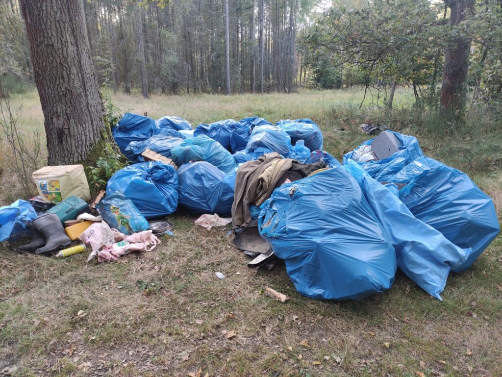 Niechlubny bilans. Wciąż zaśmiecamy lasy Radio Zachód - Lubuskie