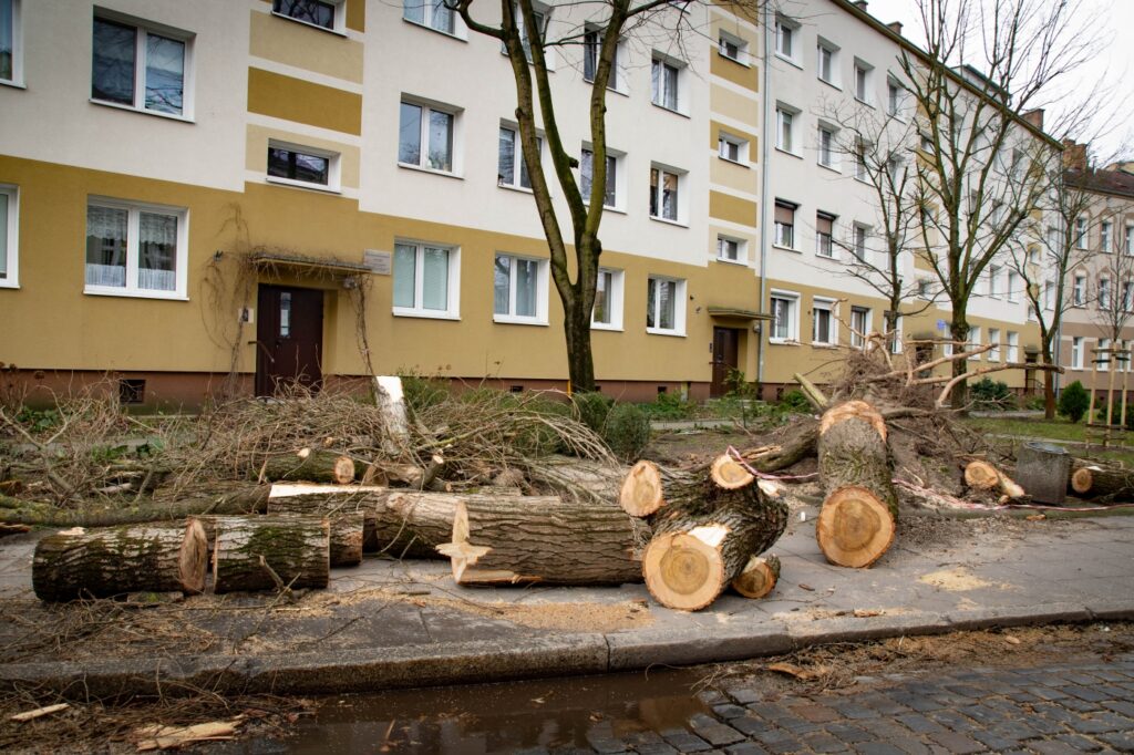 Czy Zielona Góra poradziła sobie ze skutkami wichury? Radio Zachód - Lubuskie