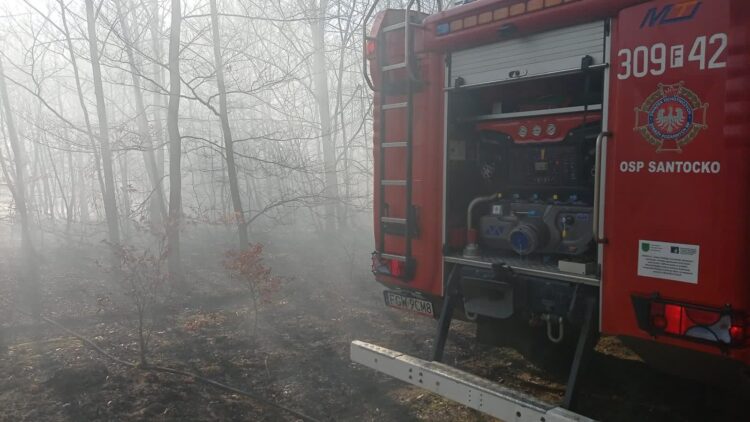 Pożar w lesie pod Gorzowem Radio Zachód - Lubuskie