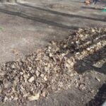 fot: Przemysław Kozubaj