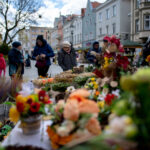 fot: Krzysztof Filmanowicz