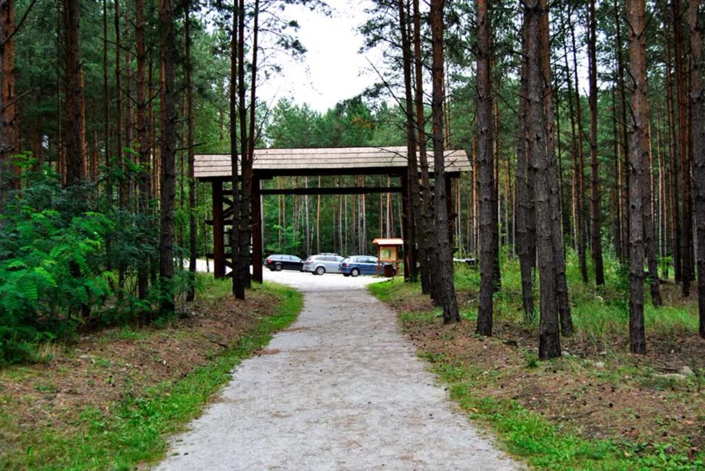 fot. Nadleśnictwo Lipinki