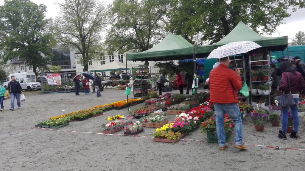 Kiermasz ogrodniczy w Nowej Soli 1 Kiermasz ogrodniczy Nowa Sól