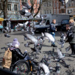 fot: Krzysztof Filmanowicz