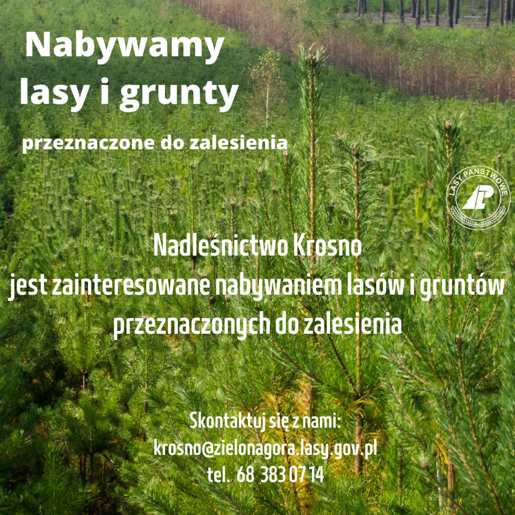 fot. Nadleśnictwo Krosno