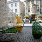 fot: Krzysztof Filmanowicz