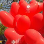 fot: Przemysław Kozubaj