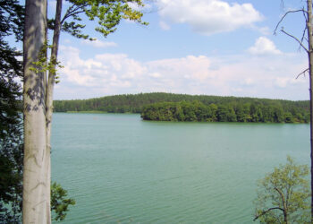 Jezioro Solecko. Fot. Staszek99, CC BY-SA 3.0, https://commons.wikimedia.org/w/index.php?curid=2252259