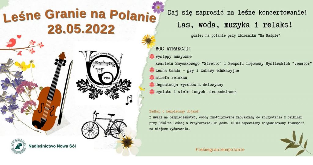 leśne granie na polanie