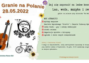 leśne granie na polanie