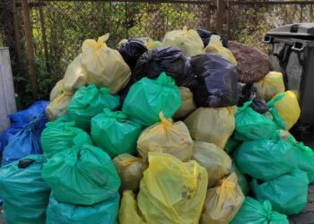 Zbiórka śmieci w Nowej Soli