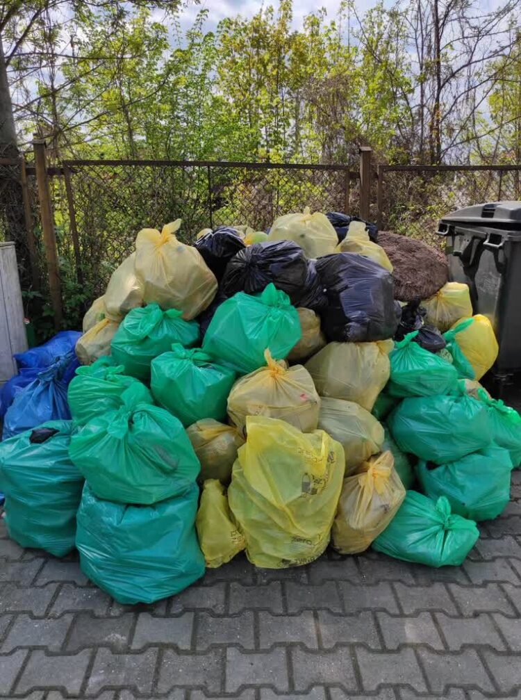 Zbiórka śmieci w Nowej Soli