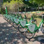 fot: Przemysław Kozubaj