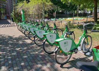 fot: Przemysław Kozubaj