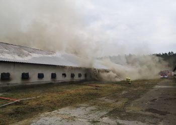 Ogień na fermie drobiu w podgorzowskim Borku Radio Zachód - Lubuskie