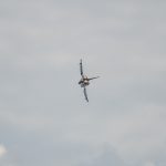 fot: Krzysztof Filmanowicz