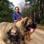 Iwona Gabor, prezes Fundacji Chata Zwierzaka