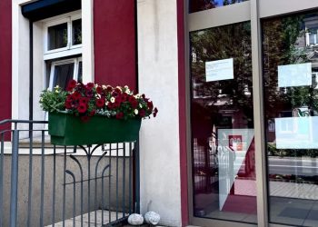 woda dla psów - Nowa Sól